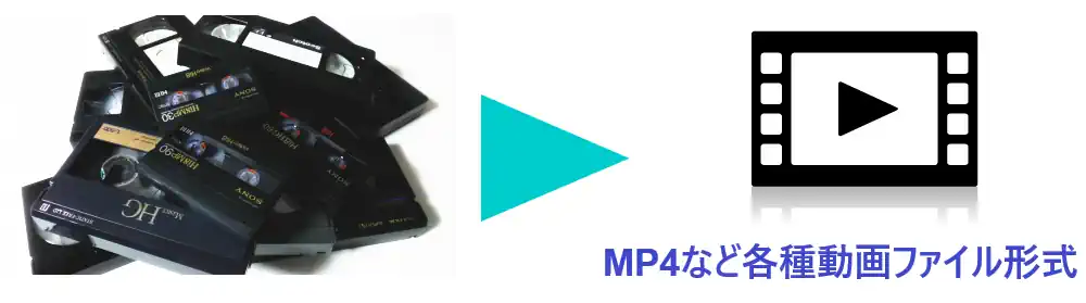 ビデオデジタイズイメージ