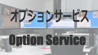 オプションサービス