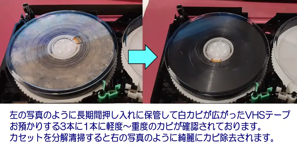 VHSのカビ