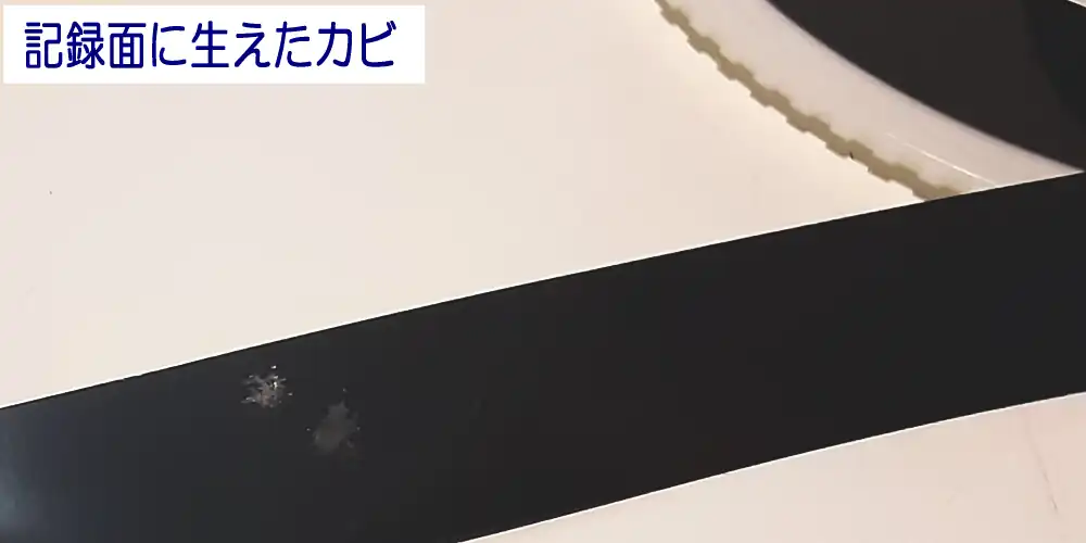 記録面のカビ
